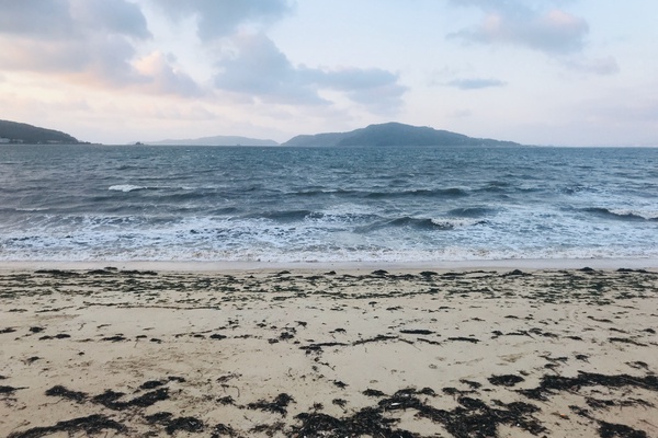 28843f523a5787f74c39e9b489c0a8aa