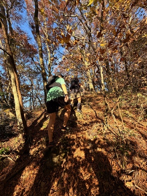 681be4ffb03cb73af1801fc2df33b9bd