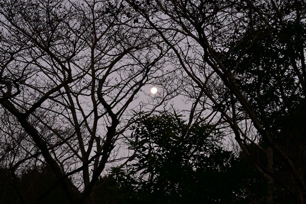 C61c260f2b3774da0736f5f50c9c11aa